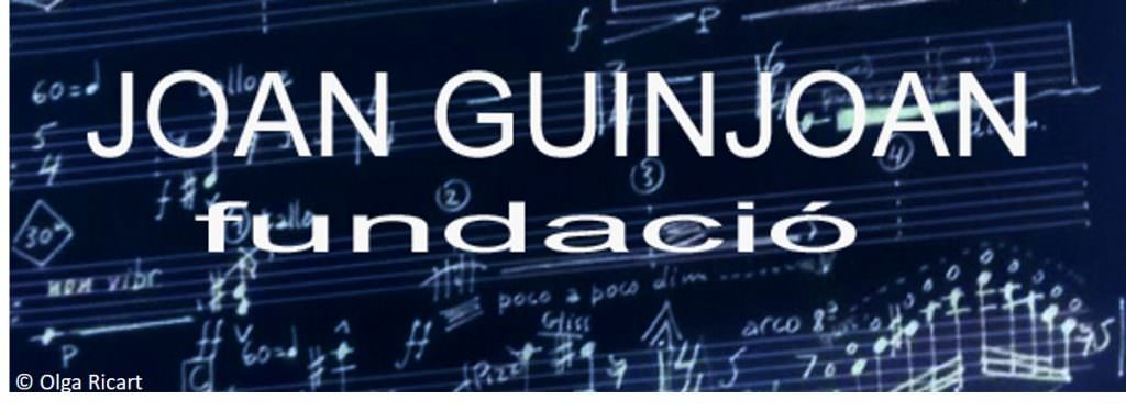 Nova pgina web de la Fundaci Joan Guinjoan